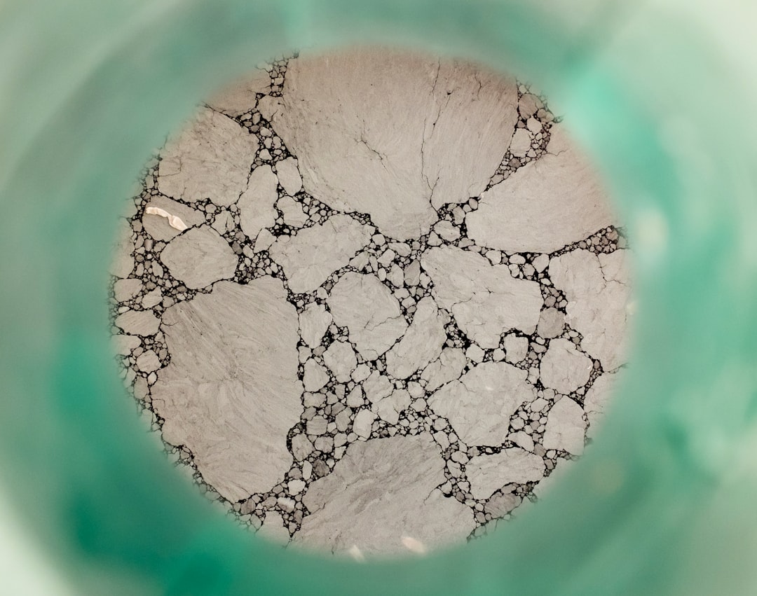 Alles wat je wilt weten over creatine monohydraat